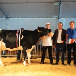 IZIE : 1er prix dans la catégorie vaches en 1ère lactation de moins de 30 mois, appartenant à EARL Delefortrie